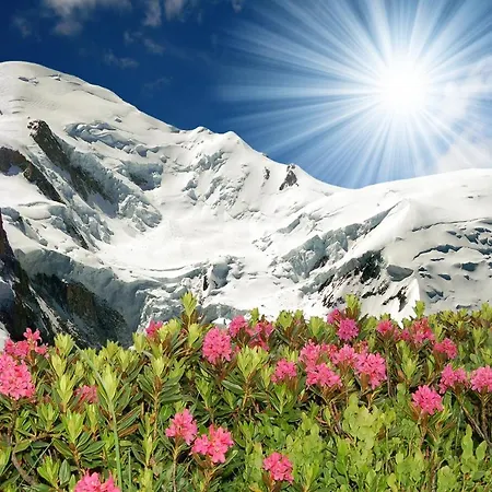 Apartament Sainte-foy-l'argentiere Sleeps 4 T454438 Chamonix